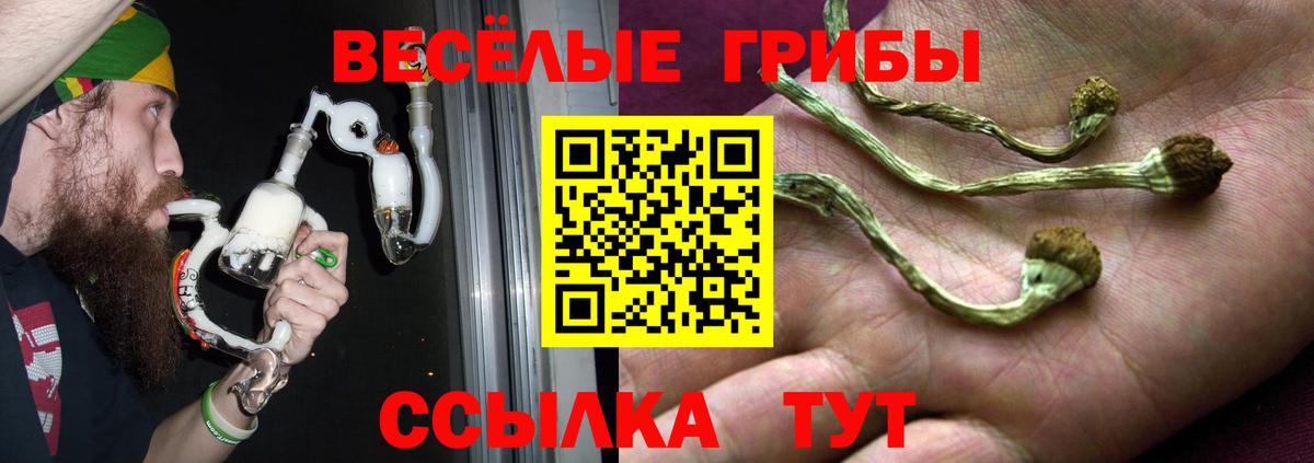 Псилоцибиновые грибы Psilocybine cubensis Алушта