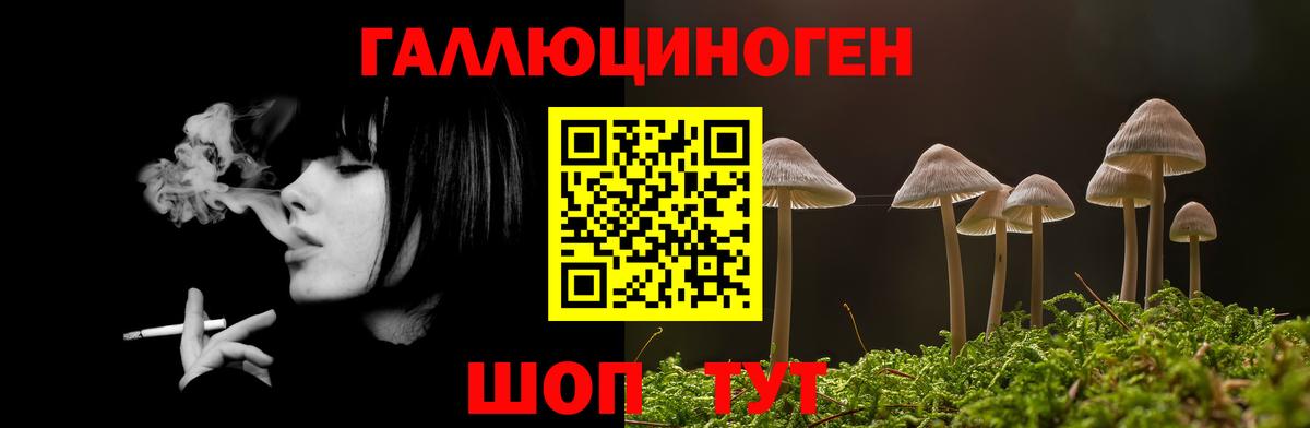 Алушта  Галлюциногенные грибы Cubensis  Псилоцибиновые грибы Psilocybine cubensis  Вход с VPN 